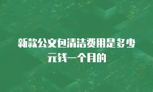 新款公文包清洁费用是多少元钱一个月的