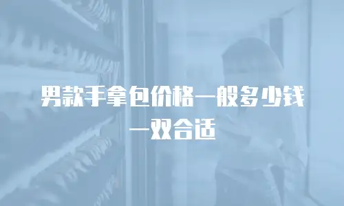 男款手拿包价格一般多少钱一双合适