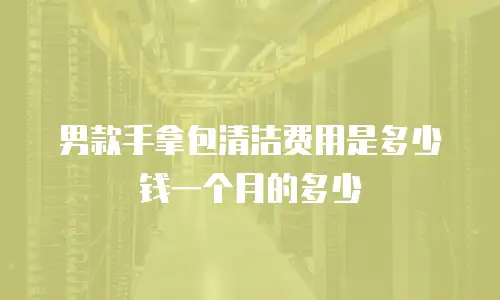 男款手拿包清洁费用是多少钱一个月的多少
