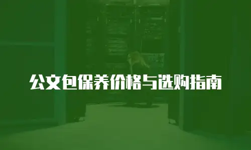 公文包保养价格与选购指南