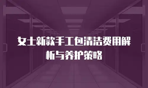 女士新款手工包清洁费用解析与养护策略