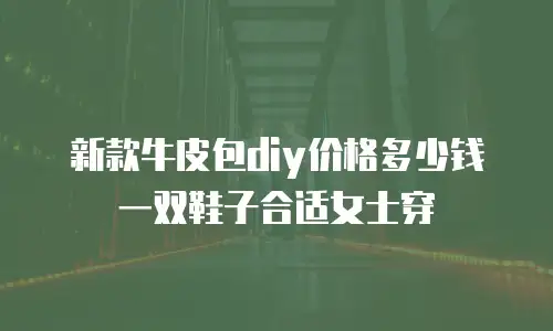 新款牛皮包diy价格多少钱一双鞋子合适女士穿