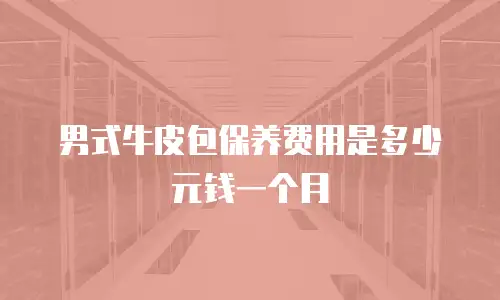 男式牛皮包保养费用是多少元钱一个月