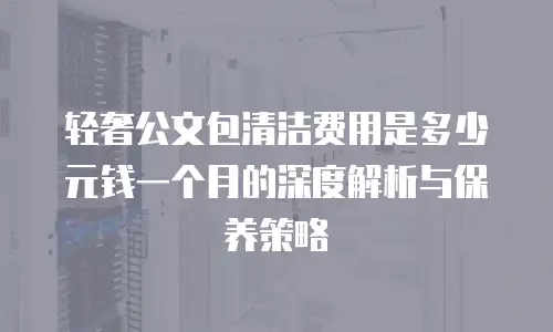 轻奢公文包清洁费用是多少元钱一个月的深度解析与保养策略
