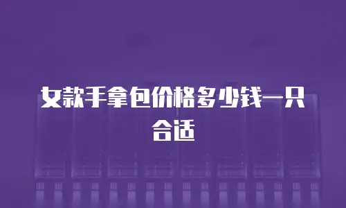 女款手拿包价格多少钱一只合适