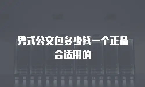 男式公文包多少钱一个正品合适用的