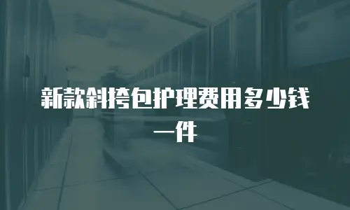 新款斜挎包护理费用多少钱一件
