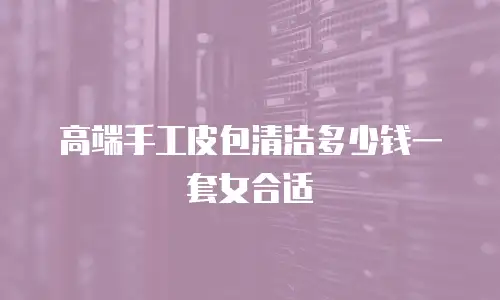 高端手工皮包清洁多少钱一套女合适