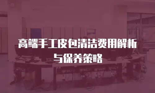 高端手工皮包清洁费用解析与保养策略