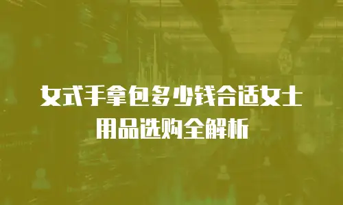 女式手拿包多少钱合适女士用品选购全解析