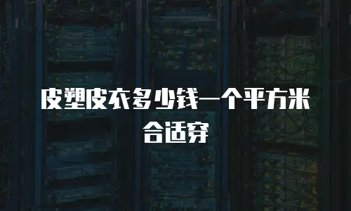 皮塑皮衣多少钱一个平方米合适穿
