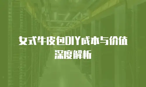 女式牛皮包DIY成本与价值深度解析