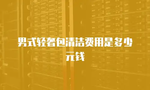 男式轻奢包清洁费用是多少元钱