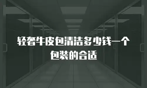 轻奢牛皮包清洁多少钱一个包装的合适