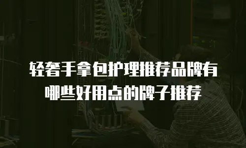 轻奢手拿包护理推荐品牌有哪些好用点的牌子推荐
