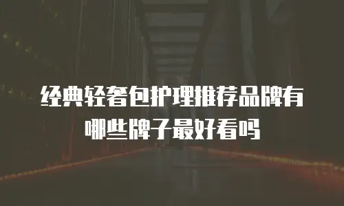 经典轻奢包护理推荐品牌有哪些牌子最好看吗