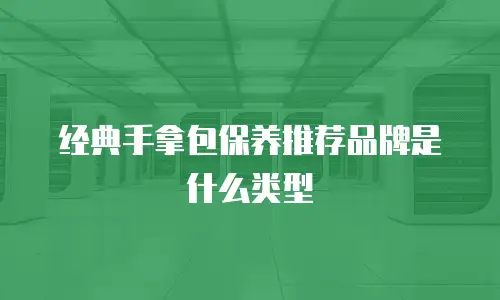 经典手拿包保养推荐品牌是什么类型