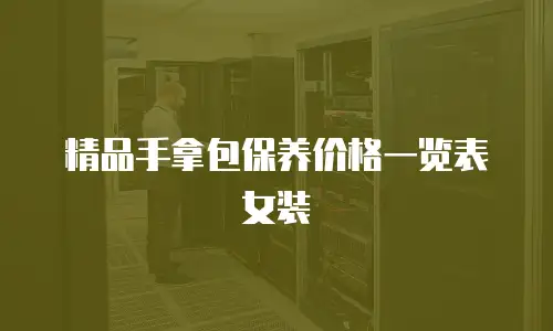 精品手拿包保养价格一览表女装