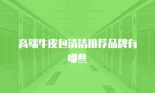 高端牛皮包清洁推荐品牌有哪些