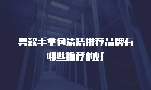 男款手拿包清洁推荐品牌有哪些推荐的好