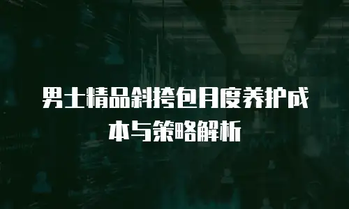 男士精品斜挎包月度养护成本与策略解析