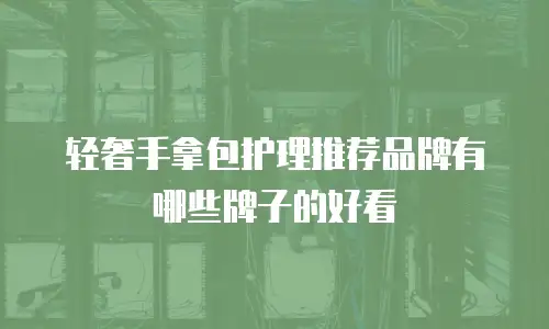 轻奢手拿包护理推荐品牌有哪些牌子的好看