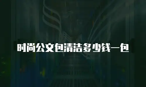 时尚公文包清洁多少钱一包