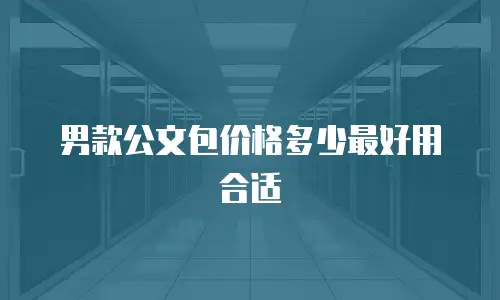 男款公文包价格多少最好用合适