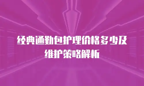 经典通勤包护理价格多少及维护策略解析