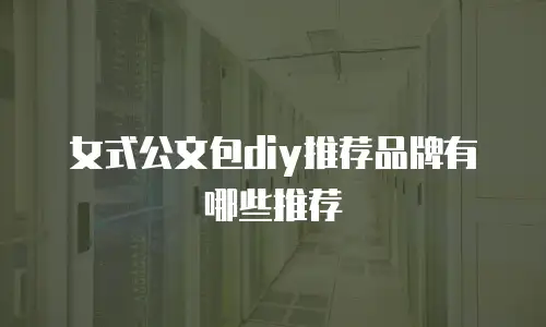女式公文包diy推荐品牌有哪些推荐