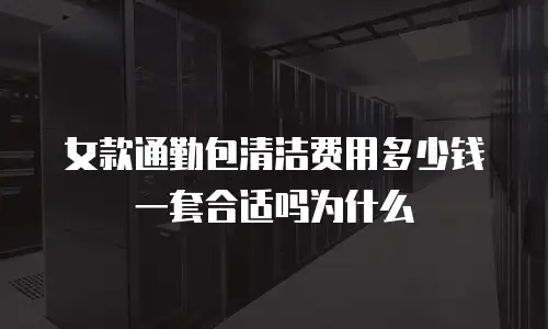 女款通勤包清洁费用多少钱一套合适吗为什么