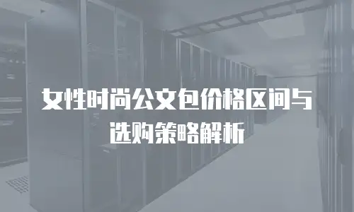 女性时尚公文包价格区间与选购策略解析
