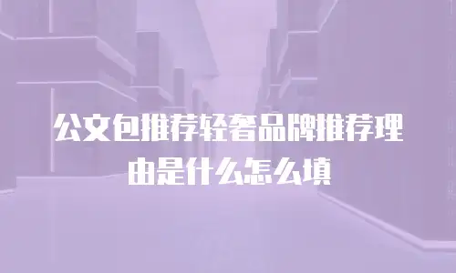 公文包推荐轻奢品牌推荐理由是什么怎么填