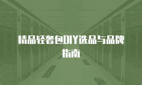 精品轻奢包DIY选品与品牌指南