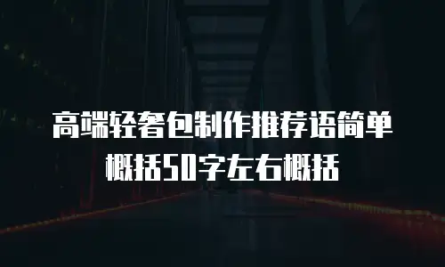高端轻奢包制作推荐语简单概括50字左右概括