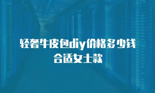 轻奢牛皮包diy价格多少钱合适女士款