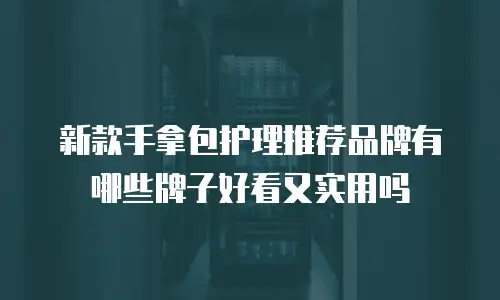 新款手拿包护理推荐品牌有哪些牌子好看又实用吗