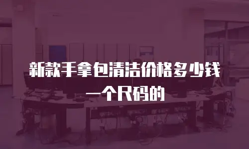 新款手拿包清洁价格多少钱一个尺码的