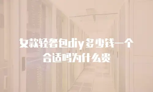 女款轻奢包diy多少钱一个合适吗为什么贵