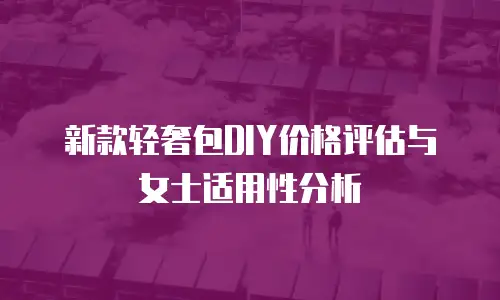 新款轻奢包DIY价格评估与女士适用性分析