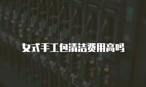 女式手工包清洁费用高吗