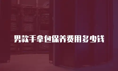 男款手拿包保养费用多少钱