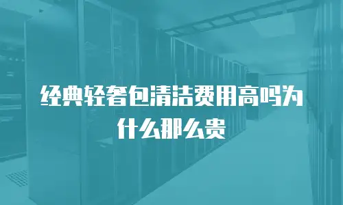 经典轻奢包清洁费用高吗为什么那么贵