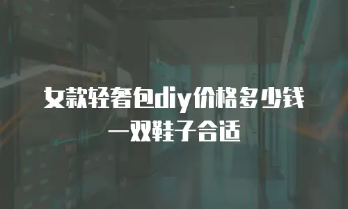 女款轻奢包diy价格多少钱一双鞋子合适