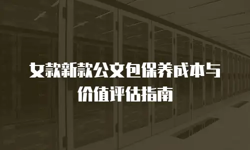 女款新款公文包保养成本与价值评估指南