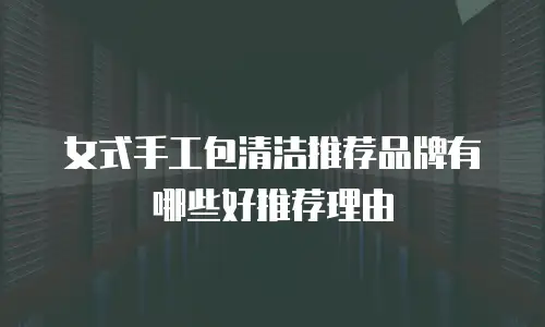 女式手工包清洁推荐品牌有哪些好推荐理由