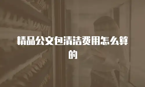 精品公文包清洁费用怎么算的