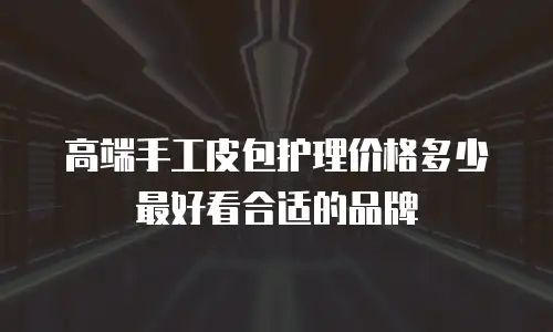 高端手工皮包护理价格多少最好看合适的品牌