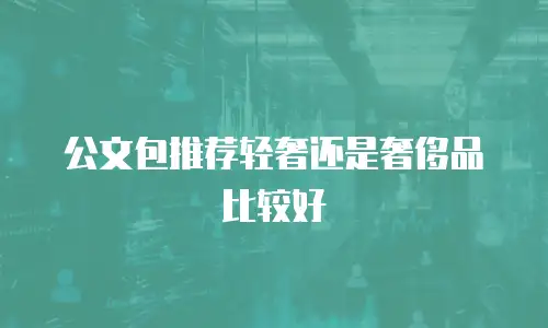 公文包推荐轻奢还是奢侈品比较好