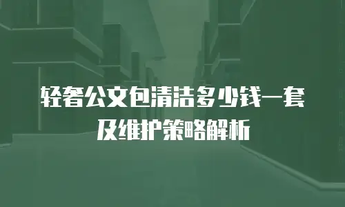 轻奢公文包清洁多少钱一套及维护策略解析